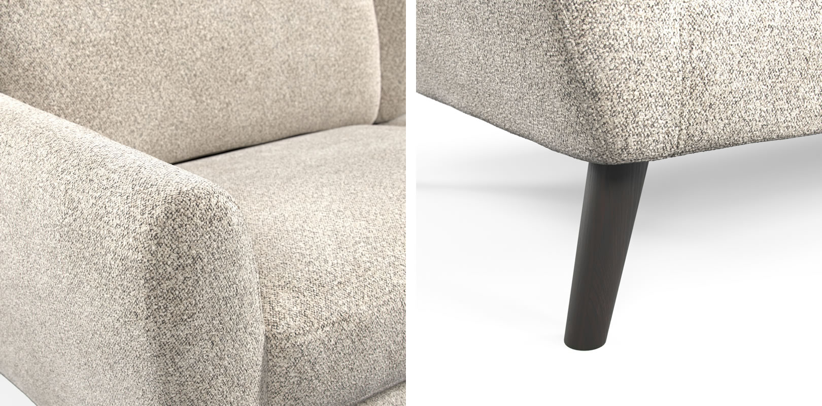 Studio Sits Colt Closeup